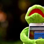 kermit, frog, smartphone-2285599.jpg